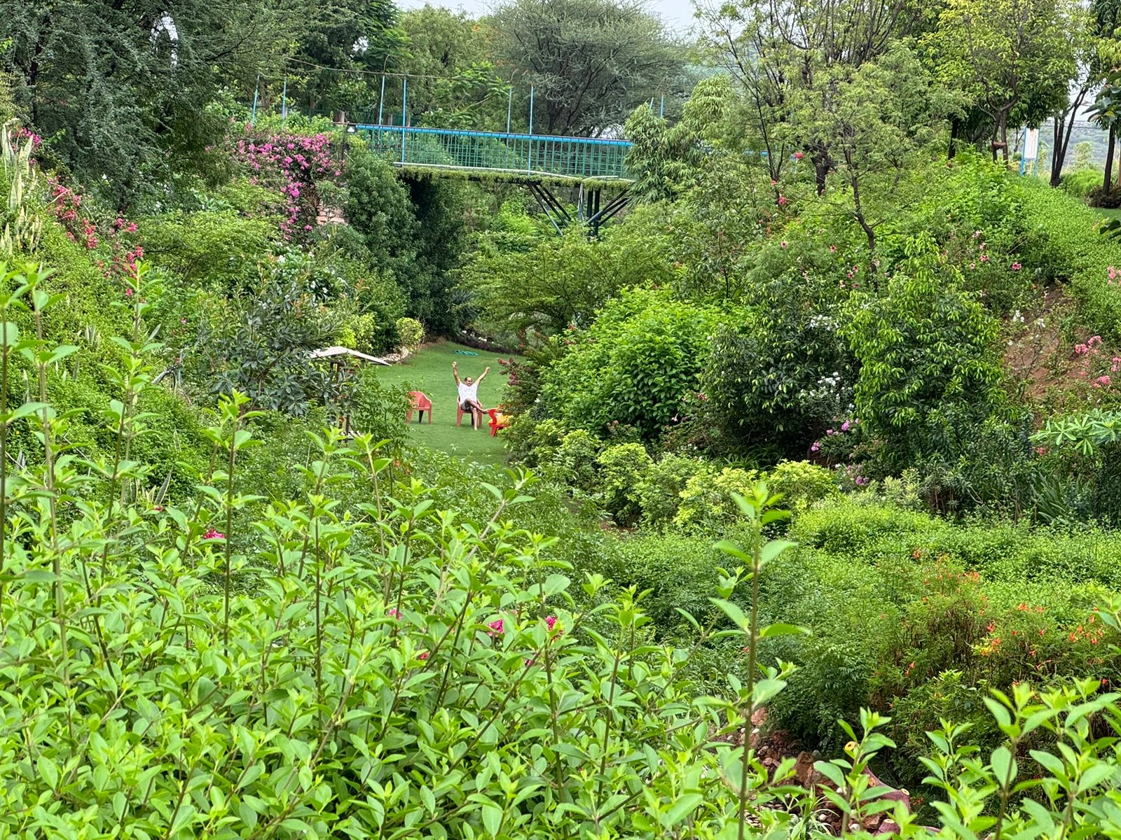 Luxury Wally Experience